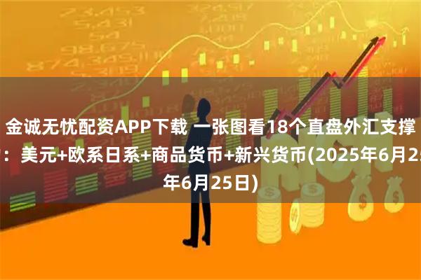 金诚无忧配资APP下载 一张图看18个直盘外汇支撑阻力：美元+欧系日系+商品货币+新兴货币(2025年6月25日)
