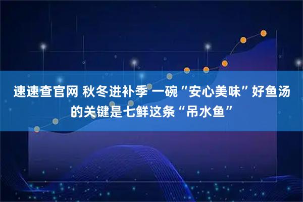 速速查官网 秋冬进补季 一碗“安心美味”好鱼汤的关键是七鲜这条“吊水鱼”