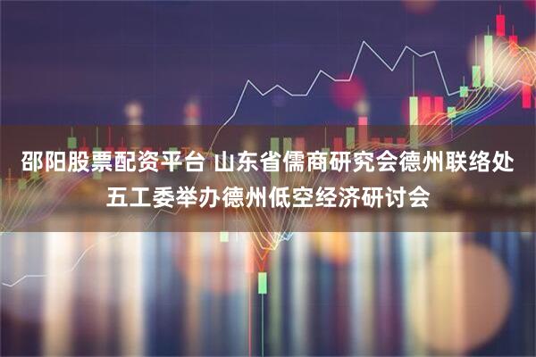 邵阳股票配资平台 山东省儒商研究会德州联络处五工委举办德州低空经济研讨会