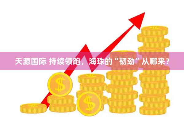 天源国际 持续领跑，海珠的“韧劲”从哪来？